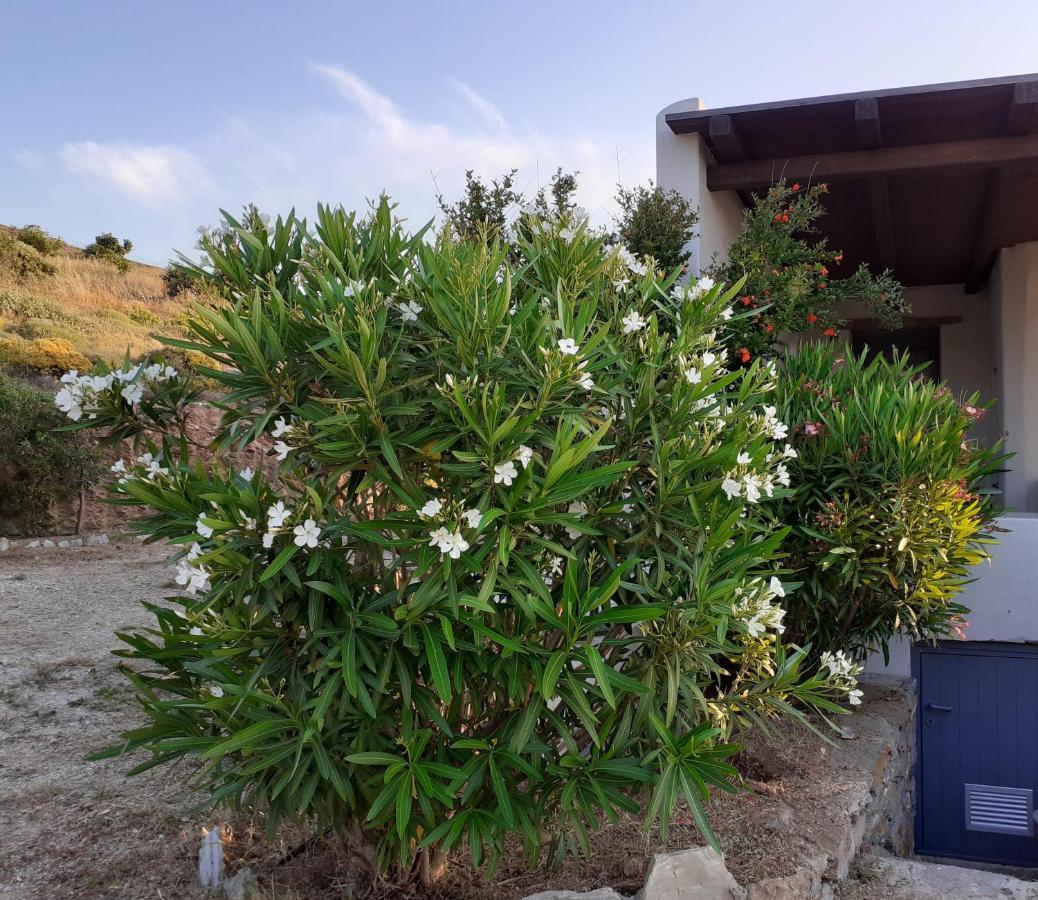 Katoikia Spathi Dış mekan fotoğraf