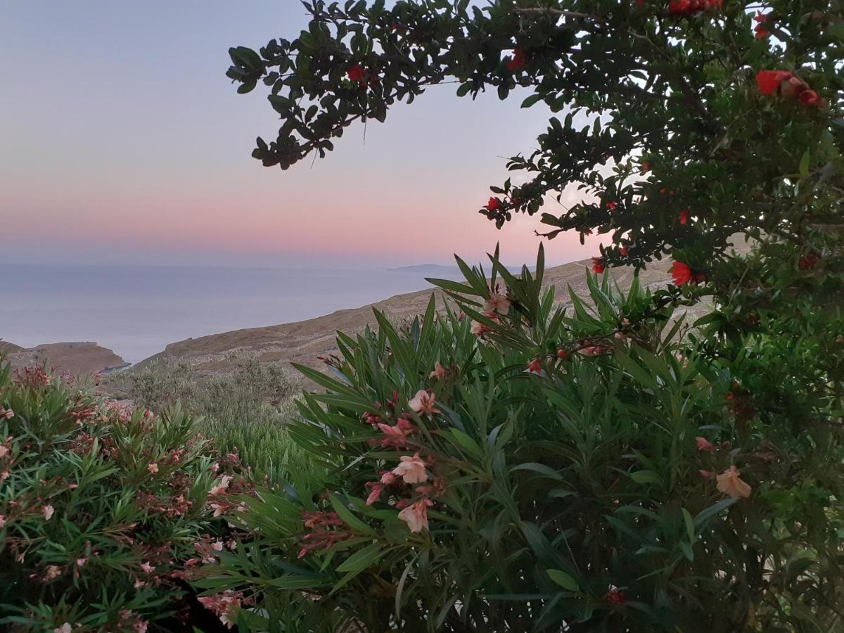 Katoikia Spathi Dış mekan fotoğraf