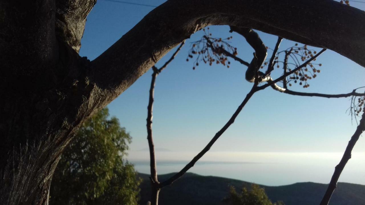 Katoikia Spathi Dış mekan fotoğraf